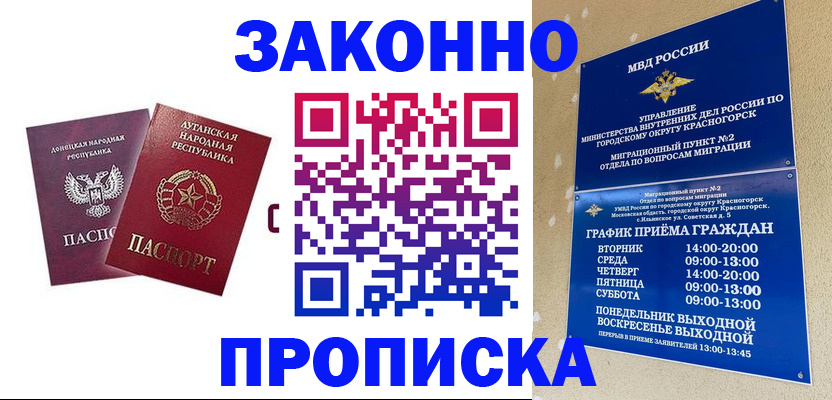 прописка в Чкаловске